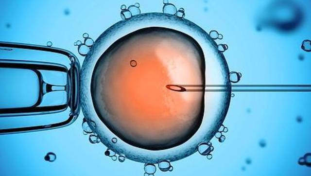 Importante avance en la reprogramación de células
