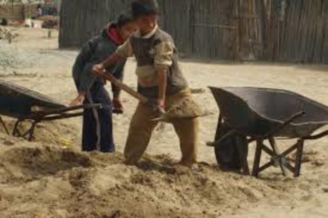 Decreto 205 articulo 2 de 2003