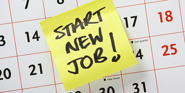 Get a job and begin a career