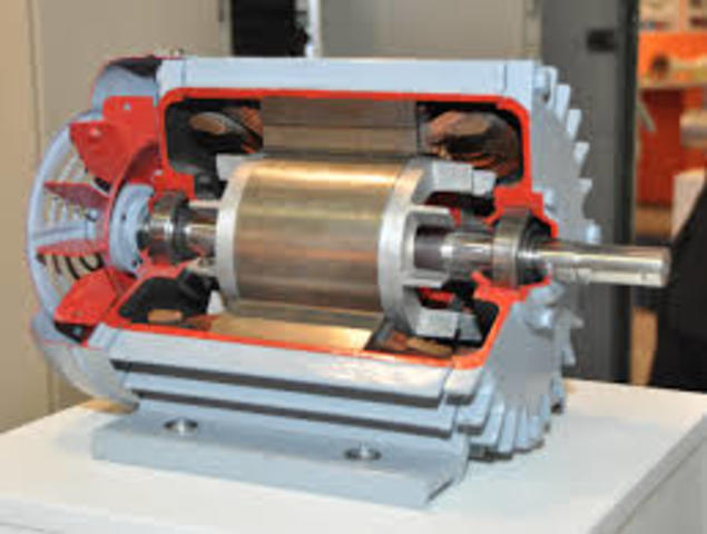 Induction electric motor