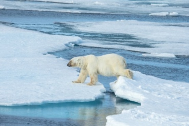 La amaneza del calentamiento global y la responsabilidad del ser humano