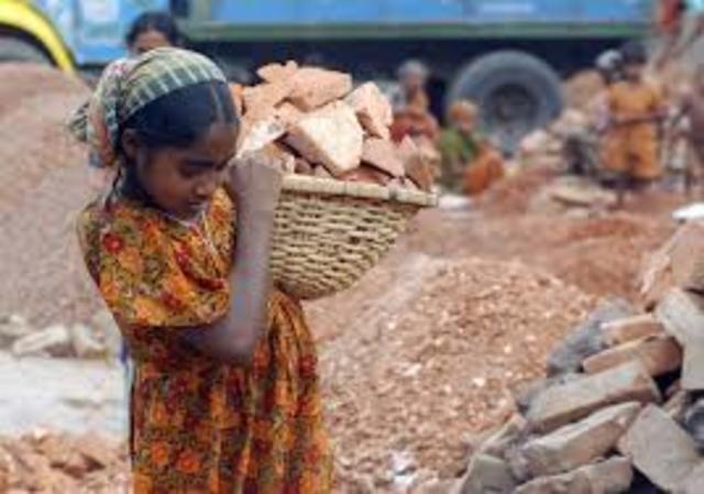 Decreto 2884 de 1991