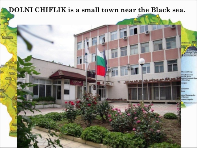 presentación de las actividades realizadas