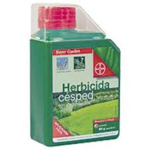 Maíz tolerante a herbicida