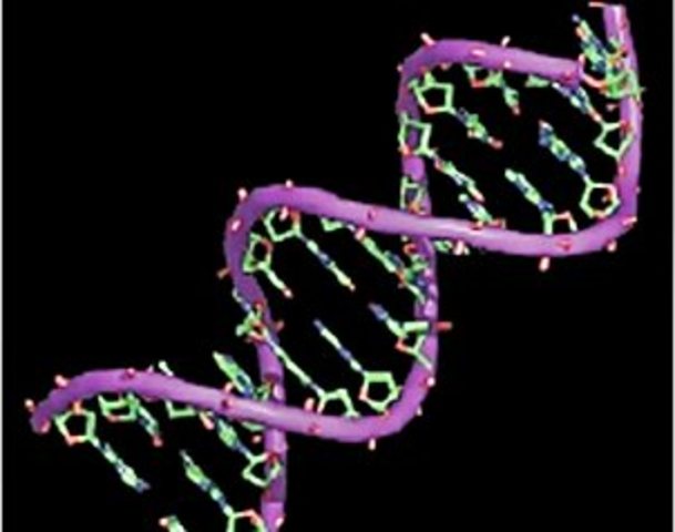 • 2013 biotecnologico