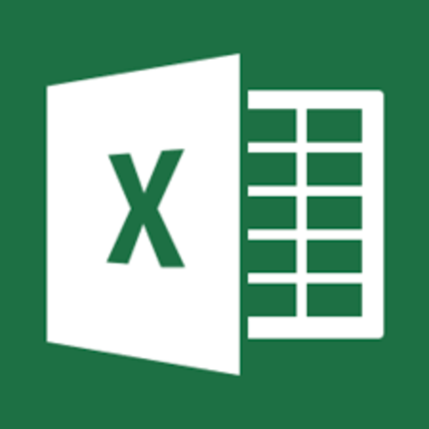 Excel 15.0 (Excel 2013)