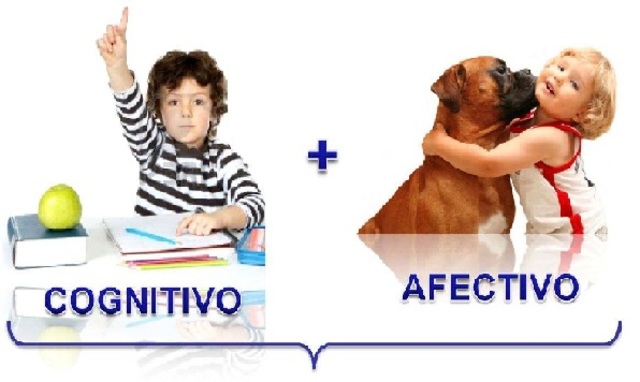 La sociedad del conocimiento demanda