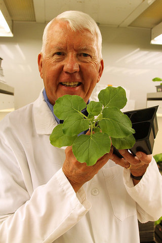 1ª vacuna fabricada de una planta