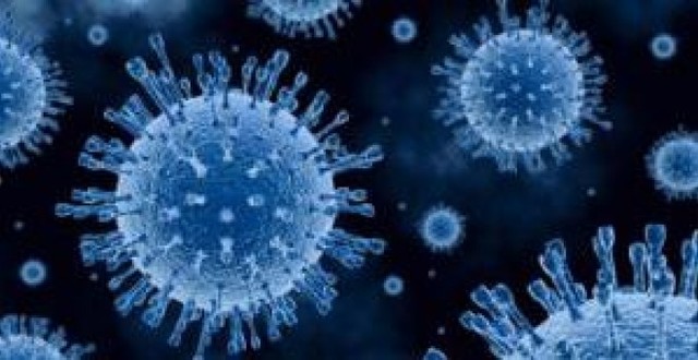 El virus de la hepatitis C posible fármaco contra otros virus