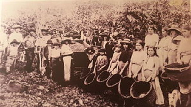 Exportación del Café