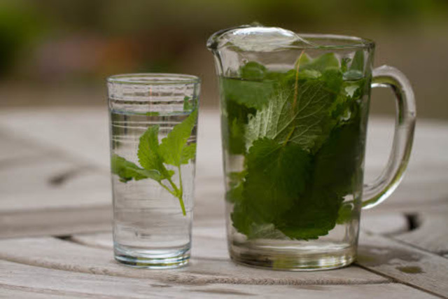 Mama and Ms.Rosen are having "coffee" which is water with herbs in it now that Denmark is not getting any shipments of coffee, butter, and sugar