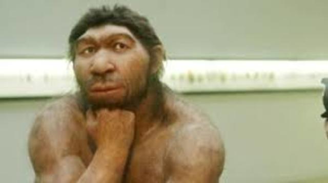 Obtención parcial del genoma del neandertal