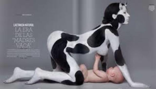 Primera vaca genéticamente modificada