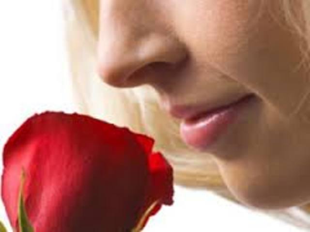 Recuperar el olor de las rosas