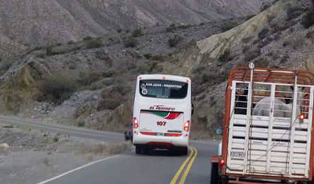 Regresamos de Puerto Madryn