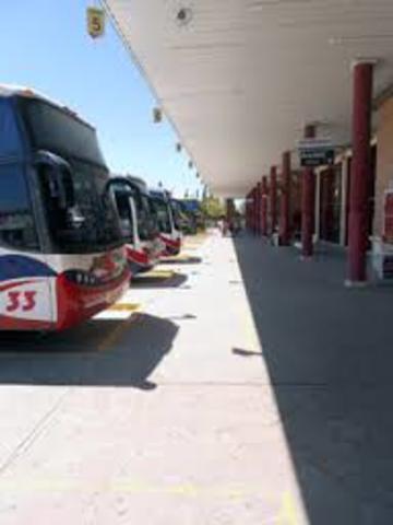 regresamos de puerto madryn