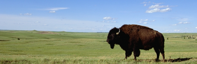 Yo fui a North Dakota