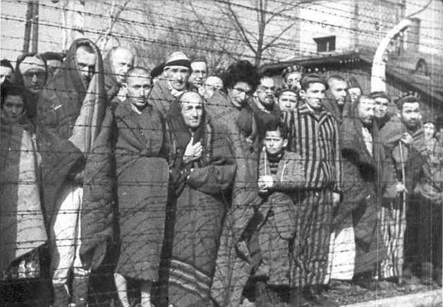 Jewish holocaust in Auschwitz begins