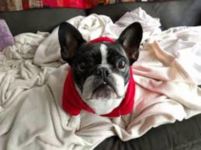 A Tough TIme I've had