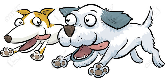 Compré mis perros con mis padres.