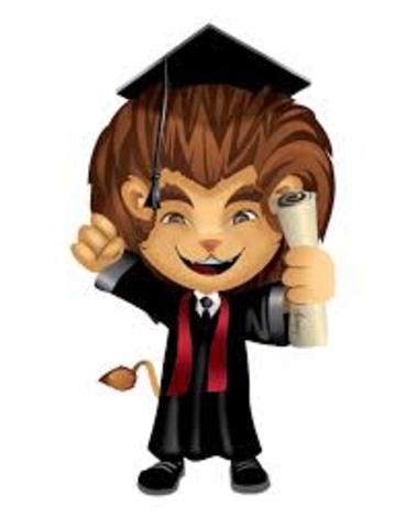 PROYECCIÓN EN 5 AÑOS