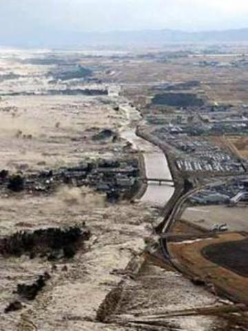Terremoto y tsunami de Japón