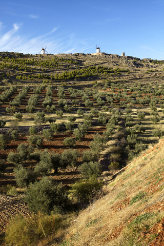 historia montes de toledo