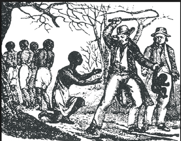 Backed by the Constitution