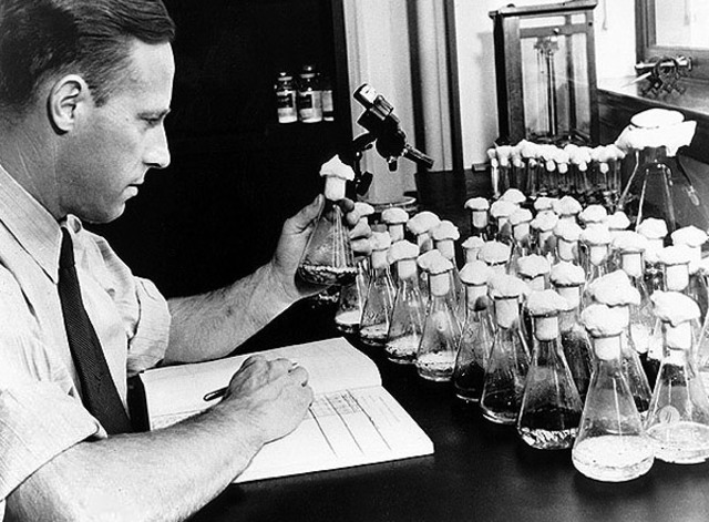 Mass Production of Penicillin Begins