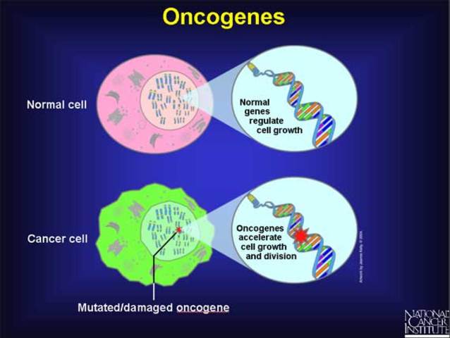 Oncogenes (1975)