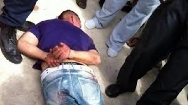 8:45  some neighbours / run after them and catch two of them