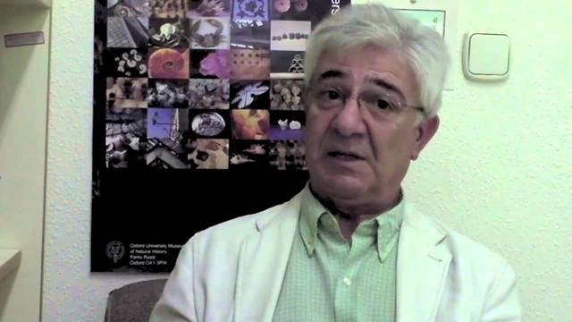 Juan Manuel Escudero (1947-   )