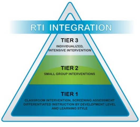 ndividuals with Disabilities Education Improvement Act (IDEIA)