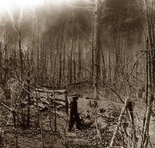 Battle Of The Wilderness