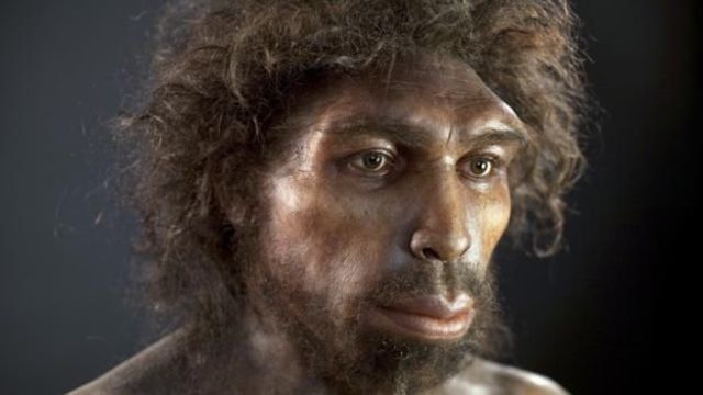 Homo heidelbergensis