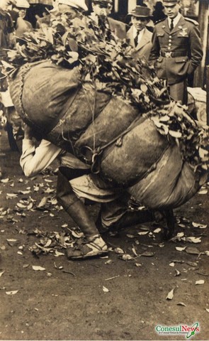 Erva-mate, a primeira riqueza extraída do território indígena – periodo de 1880 a 1940