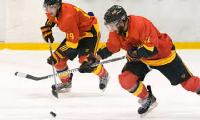 Make the Guelph Gryphons hockey team in my second year at the university