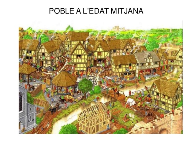 edat mediana