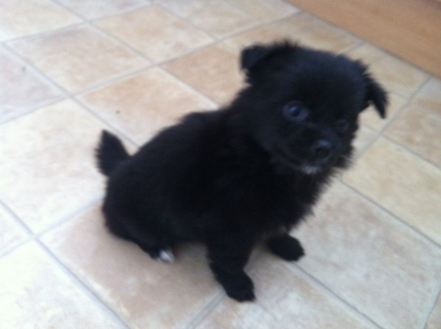 A Tough Time I've Had