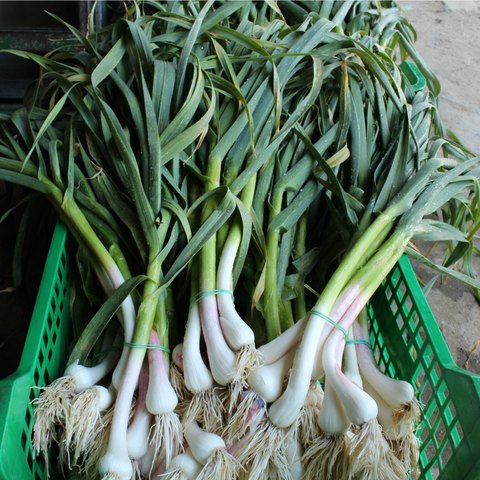 Venda directa a particulars