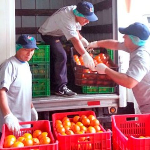 Distribució dels productes ecològics