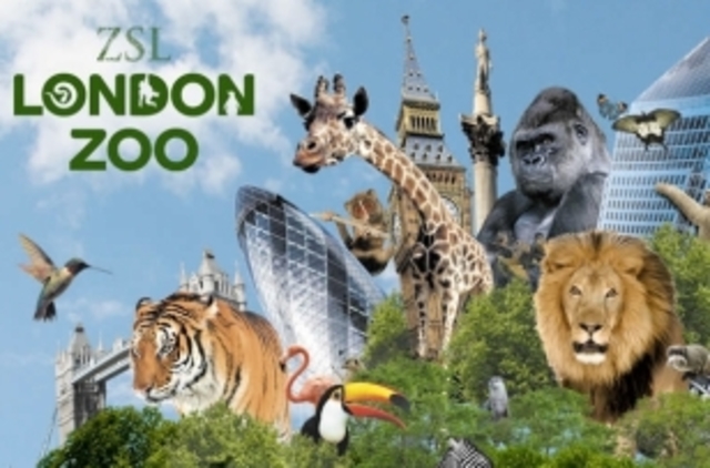 London Zoo