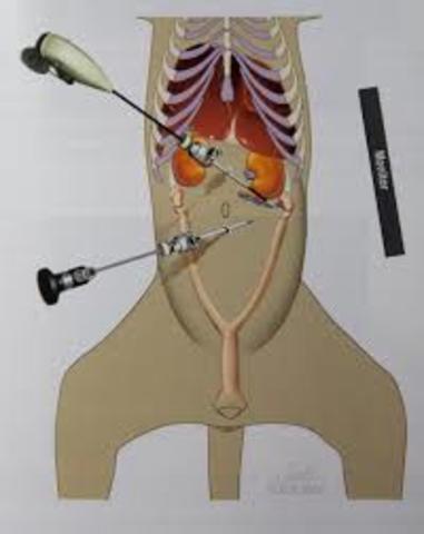 FILIPPI y COLABORADORES