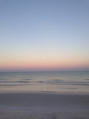 Spring Break Marco Island and Disney World