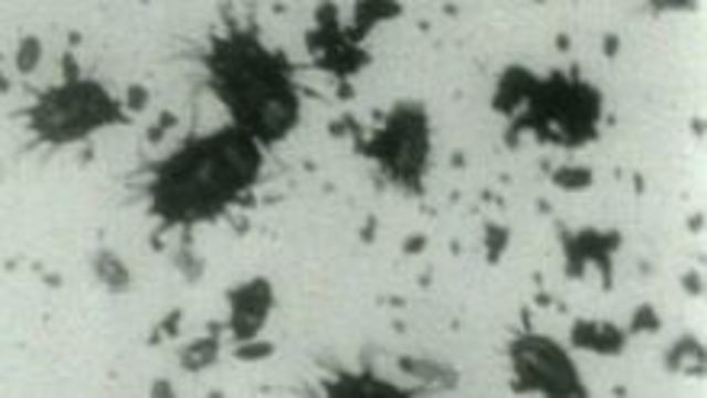 PRIMERA PELICULA DE CHARLES