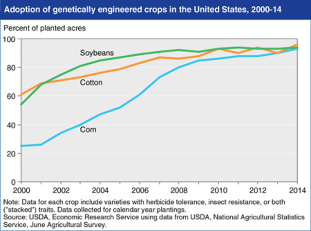 GMO Population Rises