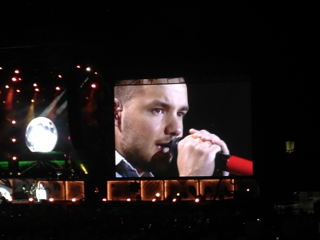 One Direction Concert