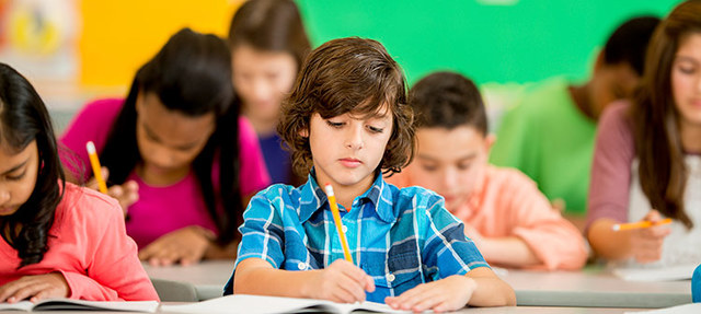 Individuals with Disabilities Education Improvement Act (IDEIA)