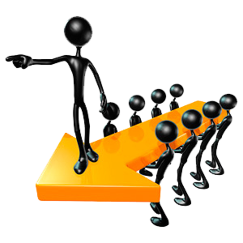 Docente Universitario