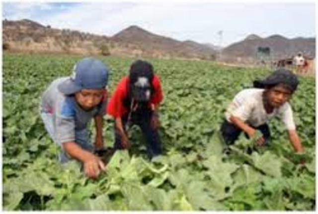 Convenio sobre la edad mínima (agricultura), 1921